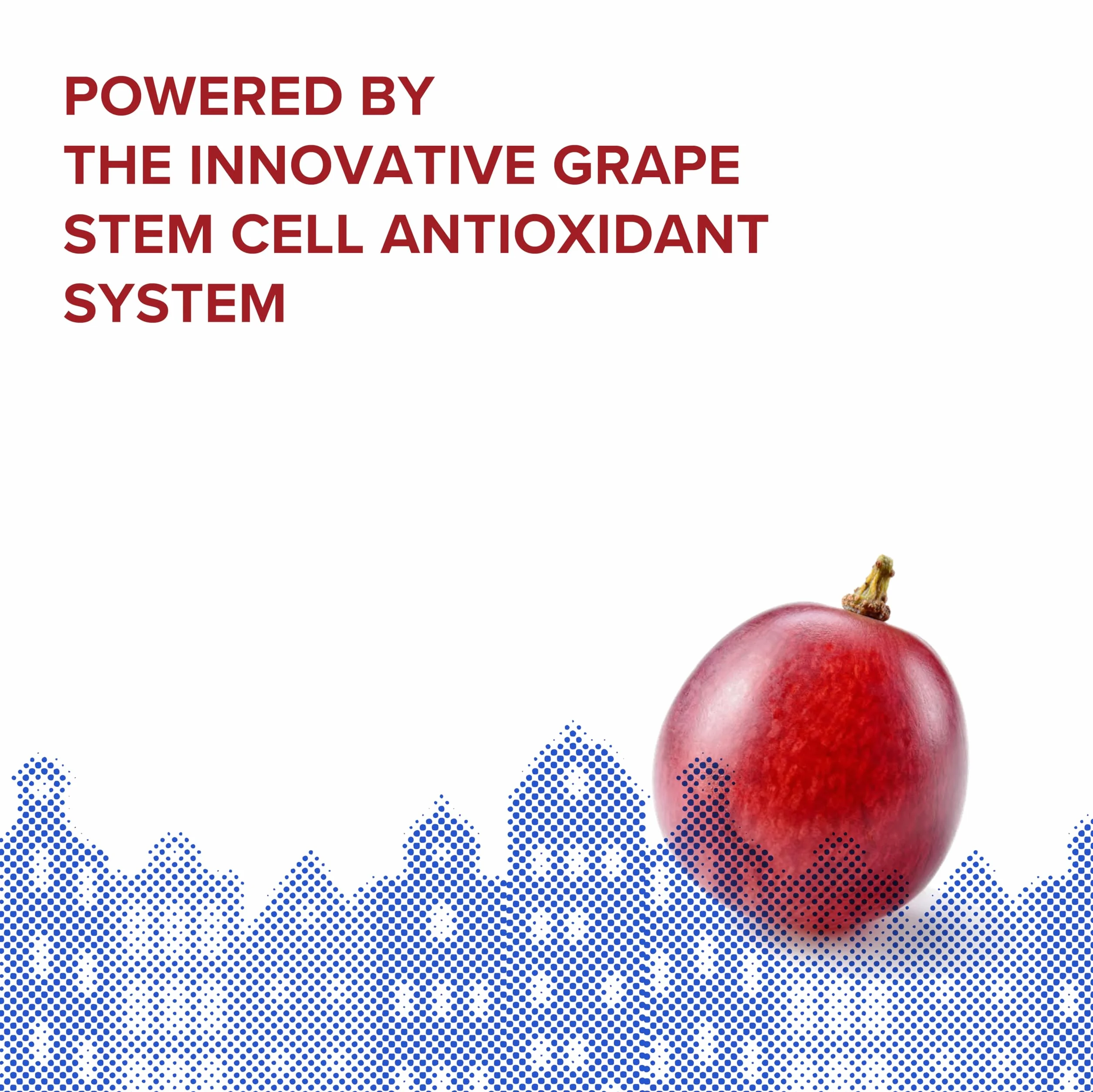 KORRES RED GRAPE przyciemniany krem przeciwsłoneczny do twarzy, LSF 50, przeciwstarzeniowy + przeciw ciemnościom, testowany dermatologicznie, wegański, 50 ml