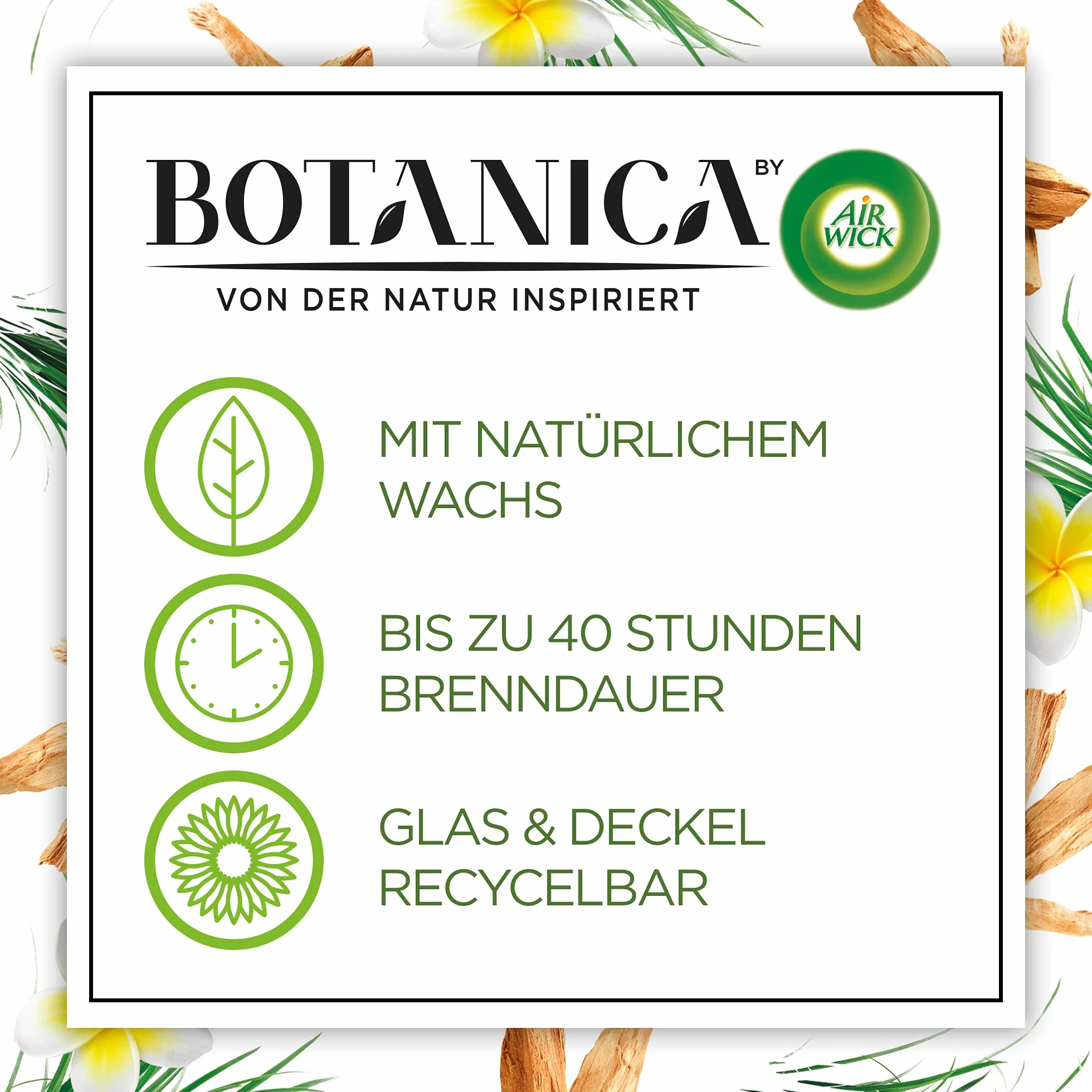 Botanica by Air Wick 6 x świeca zapachowa w słoiku – do 40 godzin na świecę – zapach: słodka trawa i drzewo sandałowe – zrównoważona produkcja z naturalnych składników – 6 x 205 g świeca w słoiku