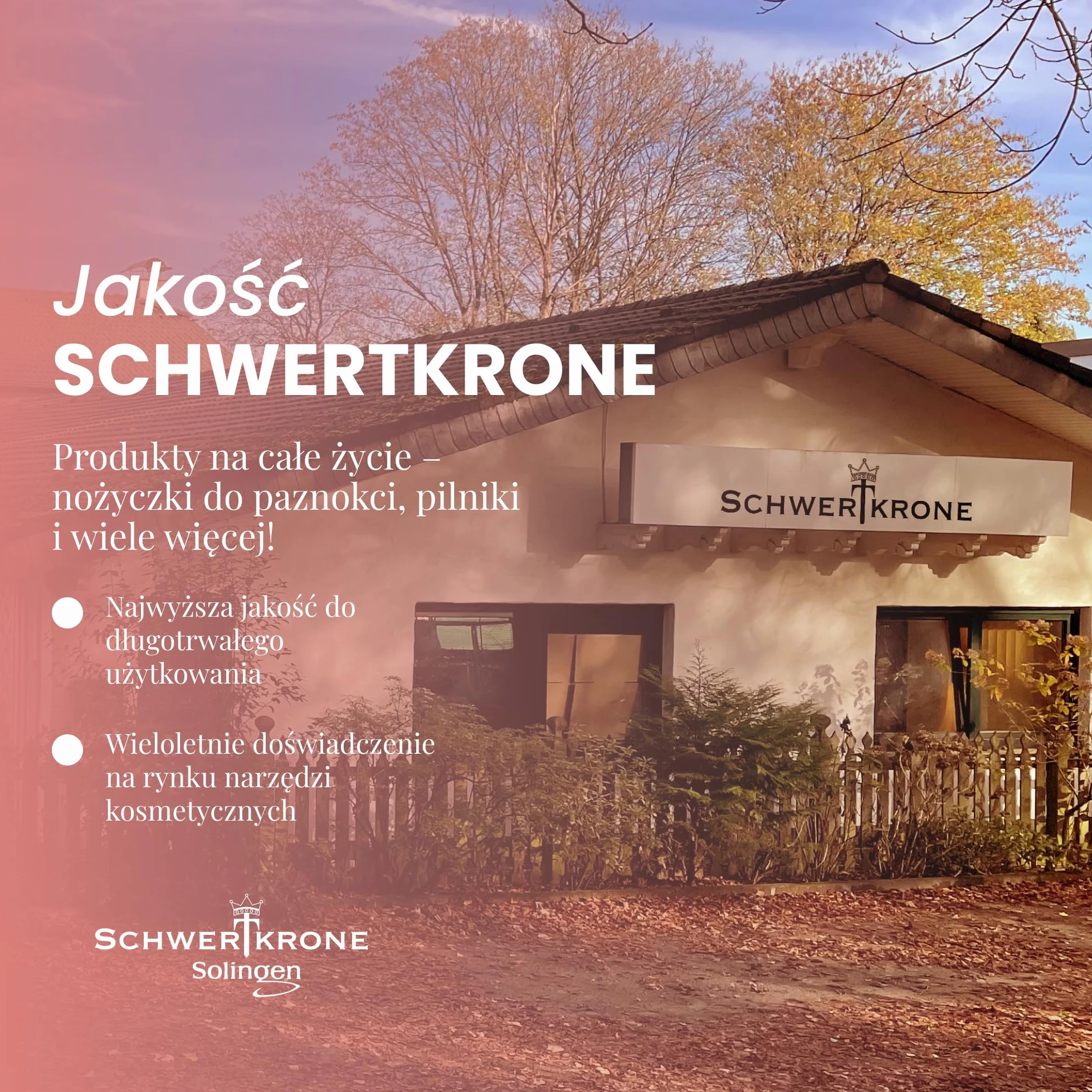 Schwertkrone Solingen strug do zrogowaciałego naskórka z 10 ostrzami/zapasowymi ostrzami do strugania zrogowaciałego naskórka – nierdzewny 10