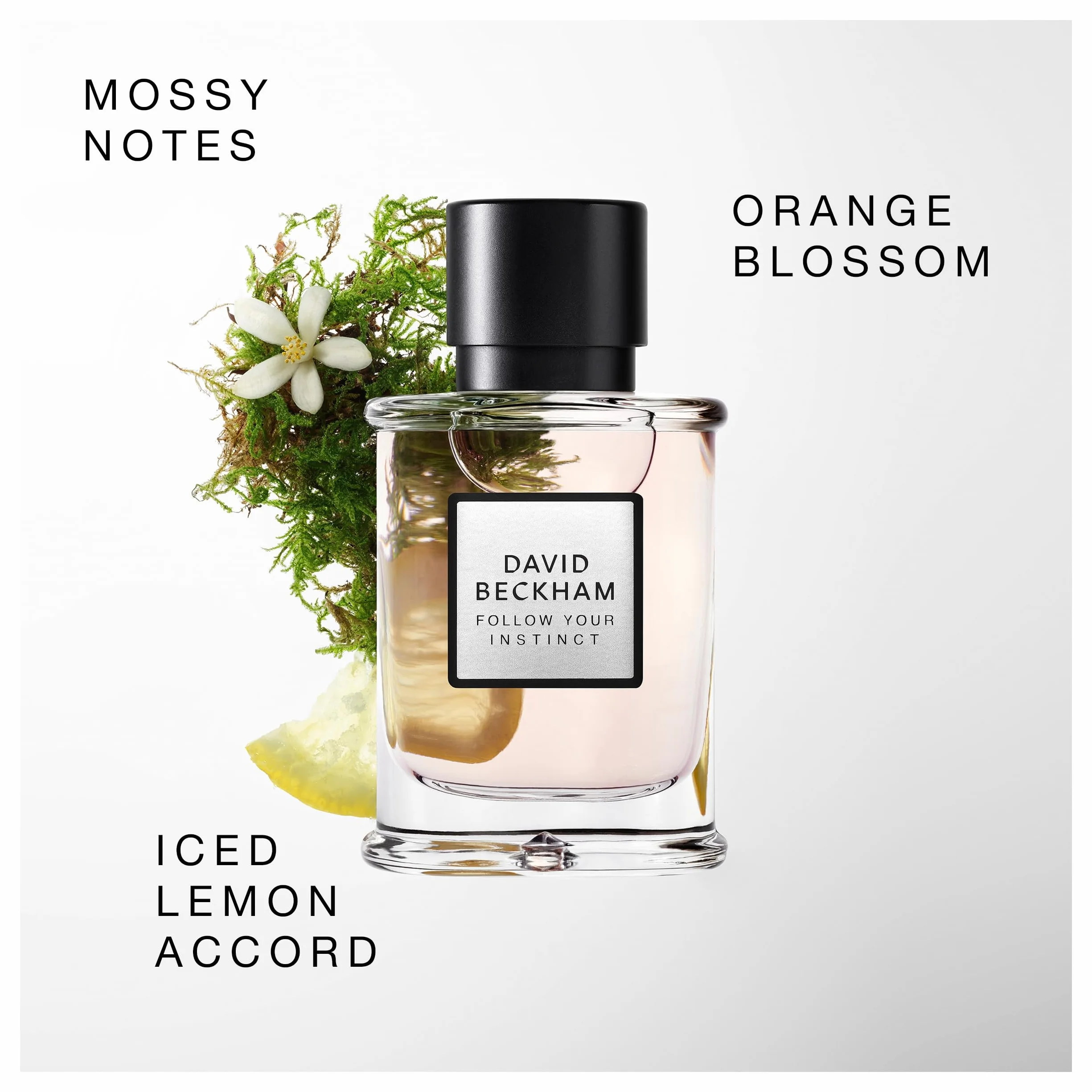 David Beckham Follow Your Instinct Woda Perfumowana Dla Mężczyzn, Zmysłowa Woda Perfumowana, 50 Ml