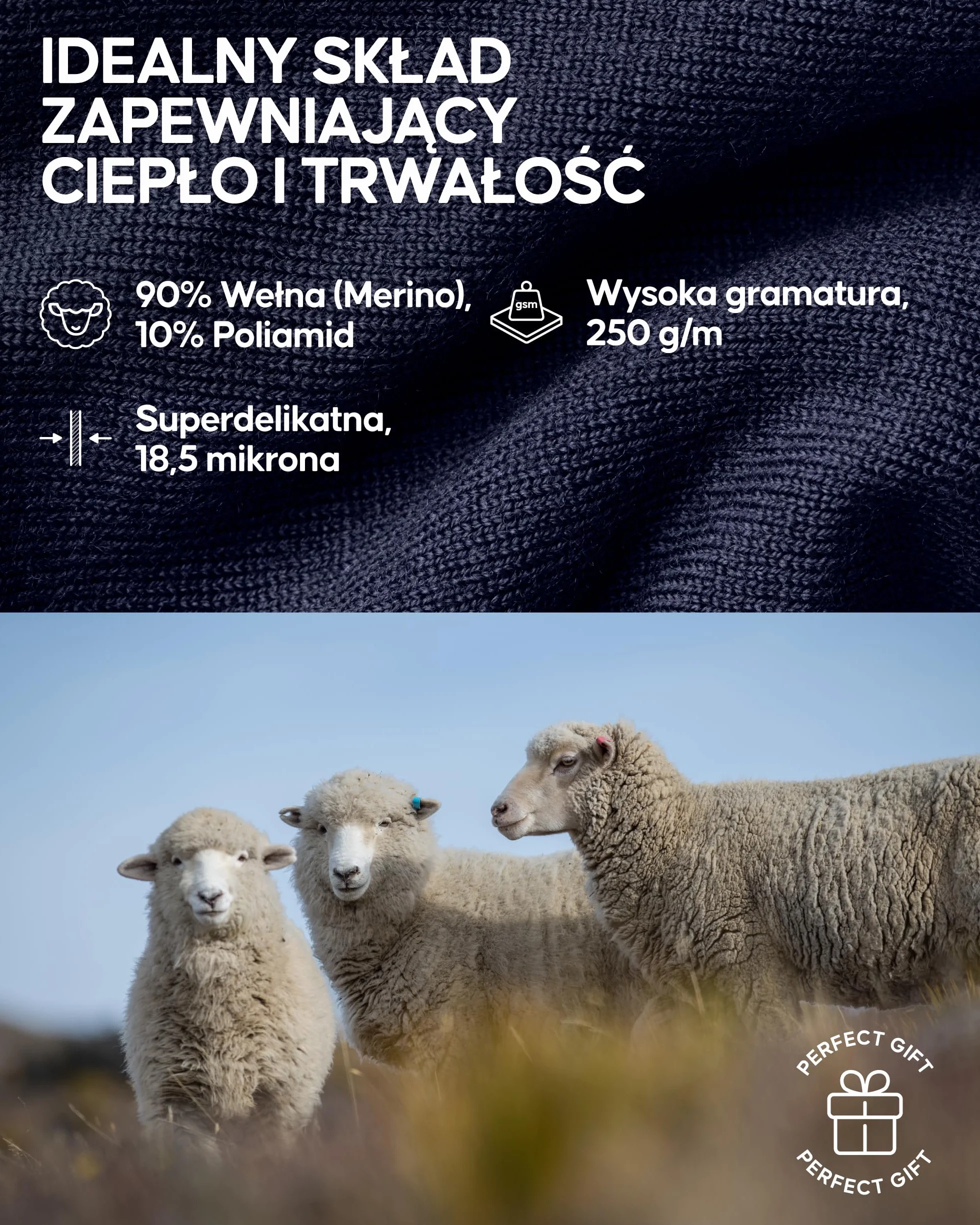 DANISH ENDURANCE Męska Koszulka Termoaktywna z Wełny Merino na Ekstremalne Zimno, Bielizna Termoaktywna Ciemny Granatowy M