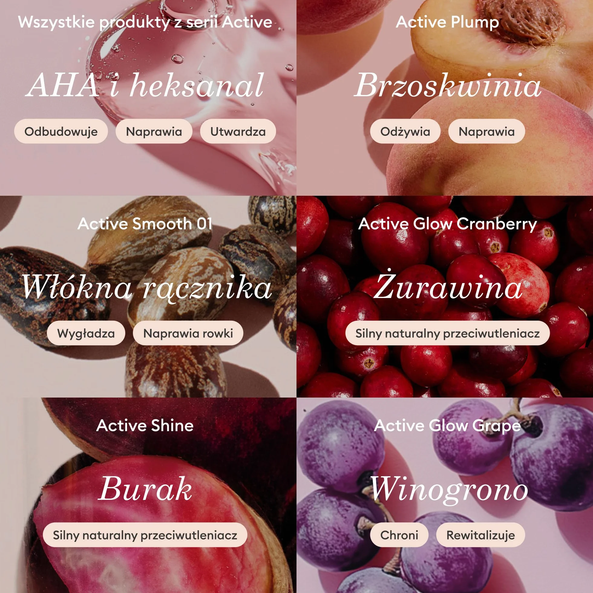Manucurist – Zestaw 5 pielęgnacyjnych lakierów do paznokci Rainbow Active, zawiera 5 lakierów wzmacniających paznokcie: Plump, Cranberry, Smooth 001, Shine, Grape – Zestaw prezentowy dla kobiet