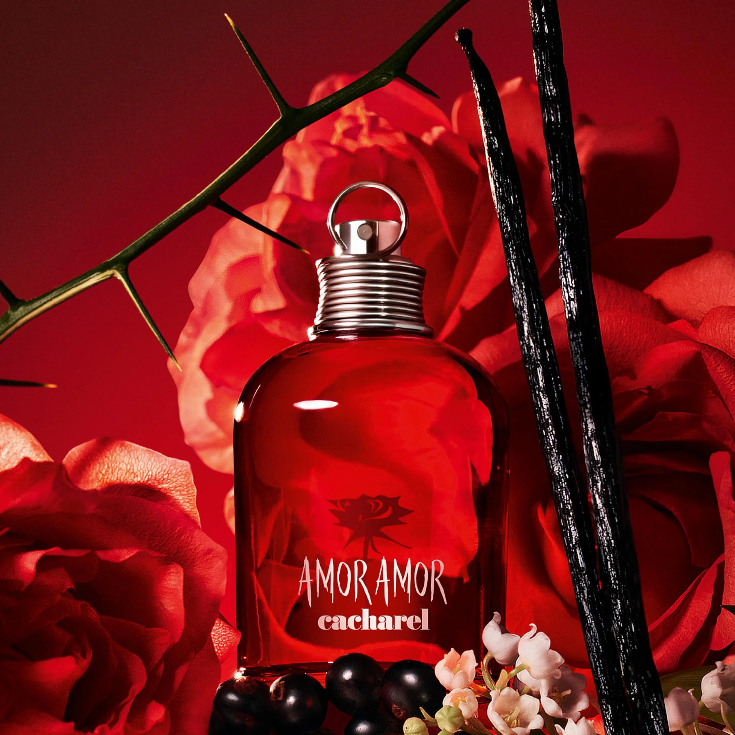 CACHAREL Amor Amor Set (EDT 100ml + EDT 30ml)