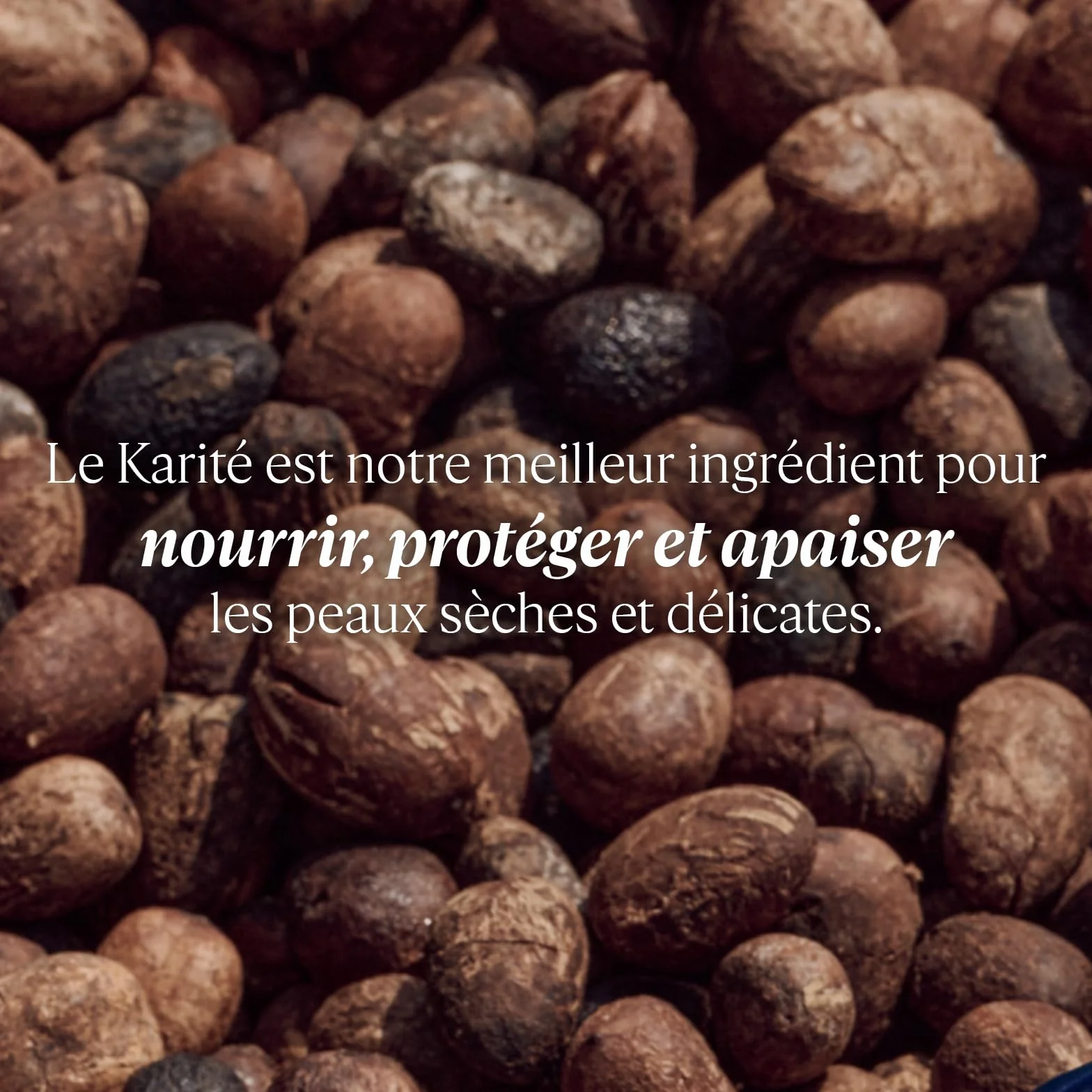 L'OCCITANE - Krem do rąk