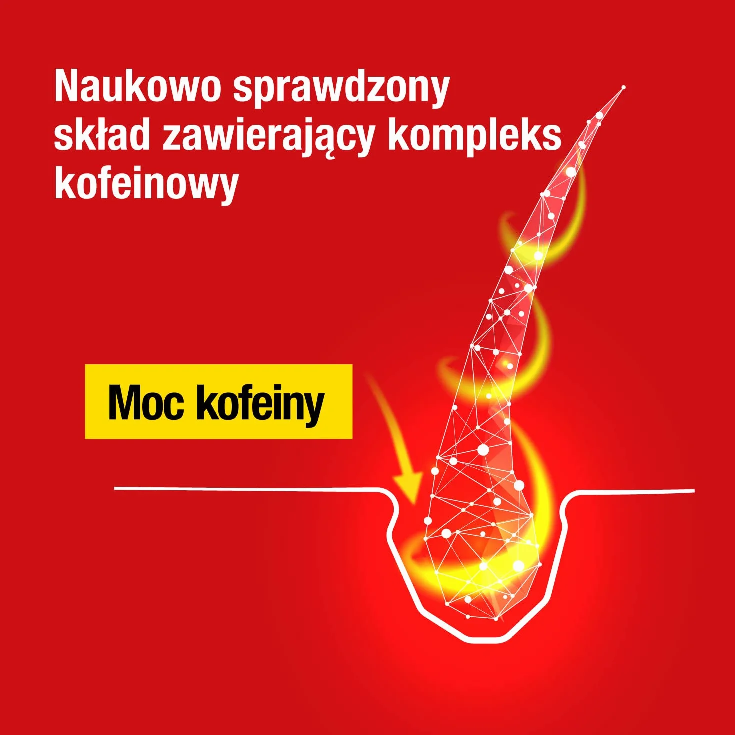 Alpecin Szampon kofeinowy 1x250ml | Zapobiega i redukuje wypadanie włosów | Energizer dla silnych włosów | Naturalny szampon na porost włosów dla mężczyzn