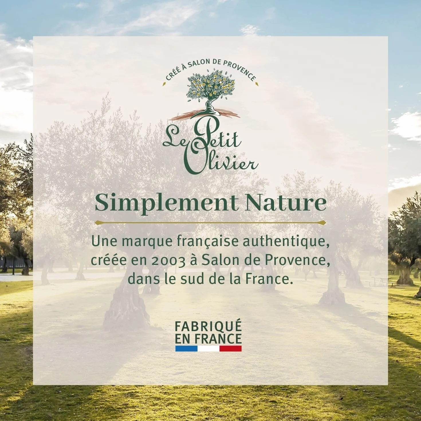 THE PETIT OLIVIER - Naprawcze mleko do ciała - Masło shea - Odżywa, naprawia i nawilża - Bardzo sucha skóra - 96% pochodzenia naturalnego - Bez silikonu - Wyprodukowano we Francji - 250 ml