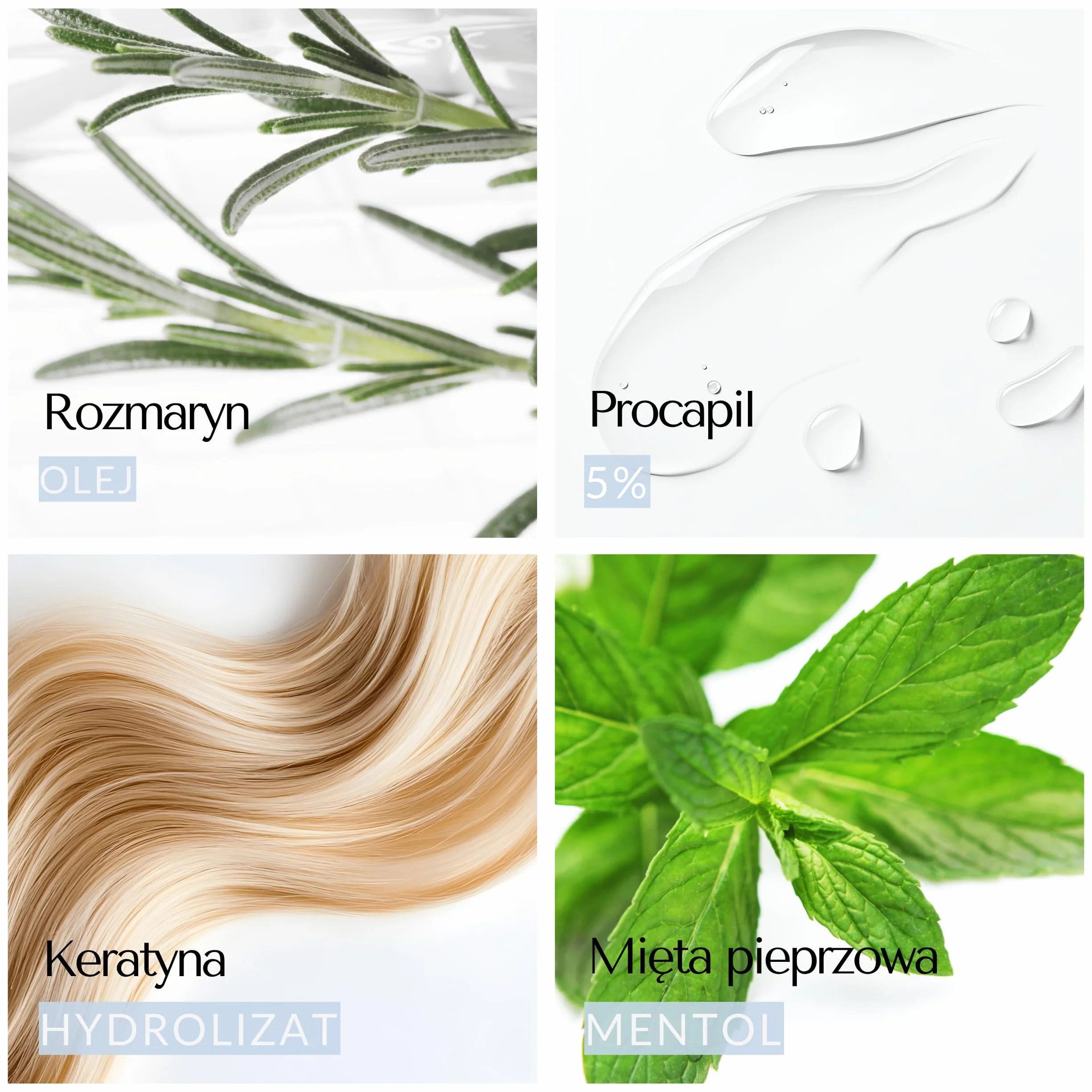 EVOCAPIL Plus Spray przeciw wypadaniu włosów – 5% Procapil i kompleks witaminowy – wzmacnia cebulki włosów, wspomaga wzrost włosów – spray na porost włosów – 1 opakowanie