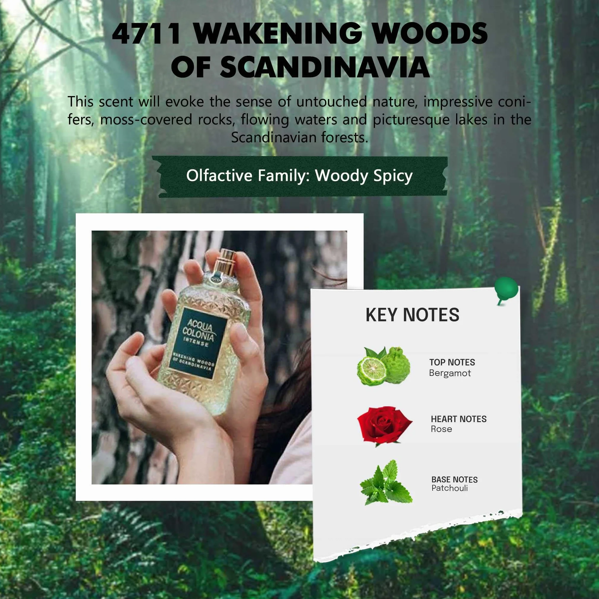 ACQUA COLONIA Intense Wakening Woods of Scandinavia woda kolońska, 170 ml
